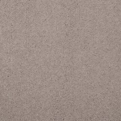 Masland  Embrace Carpet 9501 968