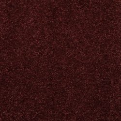 Masland  Embrace Carpet 9501 969