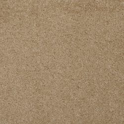 Masland  Softly Stated Carpet 9502 203