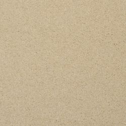 Masland  Softly Stated Carpet 9502 204