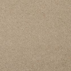 Masland  Softly Stated Carpet 9502 208