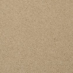 Masland  Softly Stated Carpet 9502 218
