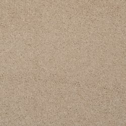 Masland  Softly Stated Carpet 9502 231