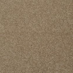 Masland  Softly Stated Carpet 9502 301