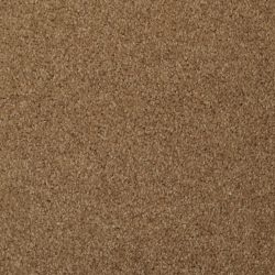 Masland  Softly Stated Carpet 9502 309
