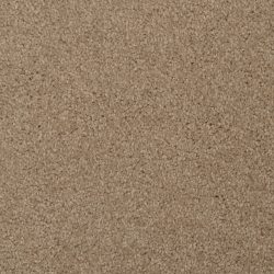Masland  Softly Stated Carpet 9502 324