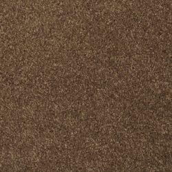 Masland  Softly Stated Carpet 9502 330