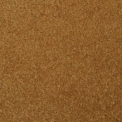 Masland  Softly Stated Carpet 9502 411