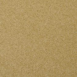 Masland  Softly Stated Carpet 9502 419