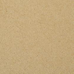 Masland  Softly Stated Carpet 9502 433