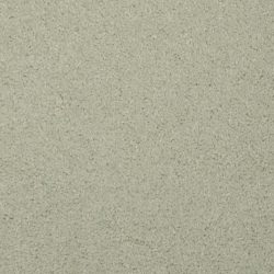 Masland  Softly Stated Carpet 9502 505