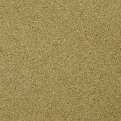 Masland  Softly Stated Carpet 9502 512