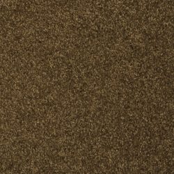 Masland  Softly Stated Carpet 9502 520