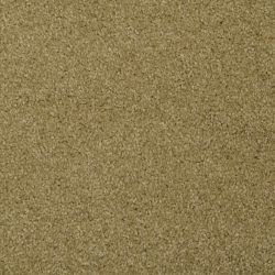 Masland  Softly Stated Carpet 9502 527