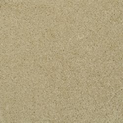 Masland  Softly Stated Carpet 9502 534