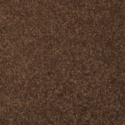 Masland  Softly Stated Carpet 9502 702