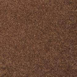 Masland  Softly Stated Carpet 9502 732