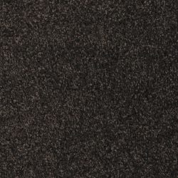 Masland  Softly Stated Carpet 9502 828