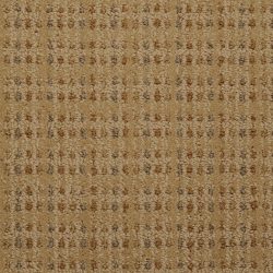 Masland  City Center Carpet 9509 101
