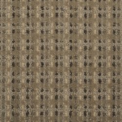 Masland  City Center Carpet 9509 204