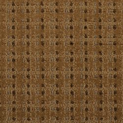 Masland  City Center Carpet 9509 302