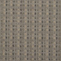 Masland  City Center Carpet 9509 807