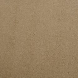 Masland  Silk Touch Carpet 9515 231