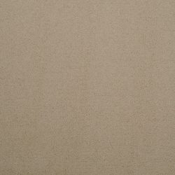 Masland  Silk Touch Carpet 9515 238