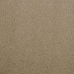 Masland  Silk Touch Carpet 9515 246