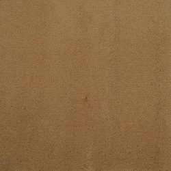 Masland  Silk Touch Carpet 9515 323
