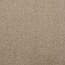 Masland  Silk Touch Carpet 9515 337