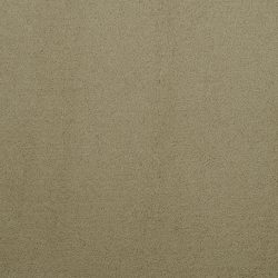 Masland  Silk Touch Carpet 9515 525