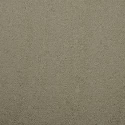Masland  Silk Touch Carpet 9515 541