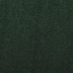 Masland  Silk Touch Carpet 9515 549