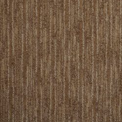 Masland  Artistic Vision Carpet 9516 282