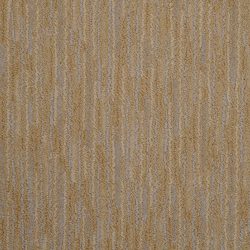 Masland  Artistic Vision Carpet 9516 438