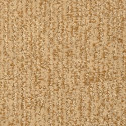 Masland  Casa Grande Carpet 9518 303