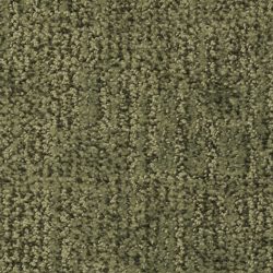 Masland  Casa Grande Carpet 9518 547