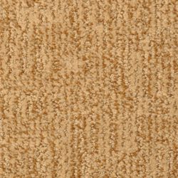Masland  Casa Grande Carpet 9518 938