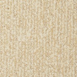Masland  Mesa Verde Carpet 9519 209
