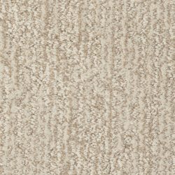 Masland  Mesa Verde Carpet 9519 212