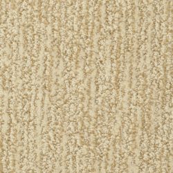 Masland  Mesa Verde Carpet 9519 228