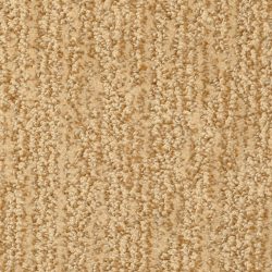 Masland  Mesa Verde Carpet 9519 303