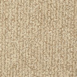 Masland  Mesa Verde Carpet 9519 307
