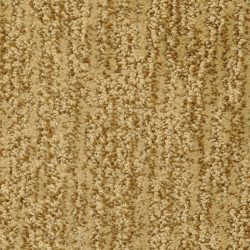 Masland  Mesa Verde Carpet 9519 410