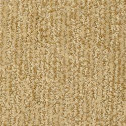 Masland  Mesa Verde Carpet 9519 429