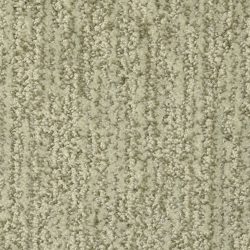 Masland  Mesa Verde Carpet 9519 534