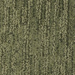 Masland  Mesa Verde Carpet 9519 547