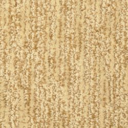 Masland  Mesa Verde Carpet 9519 708