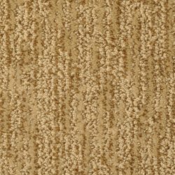 Masland  Mesa Verde Carpet 9519 727
